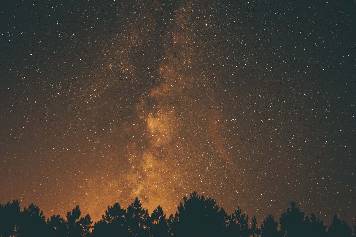 milky way silhouette photography of trees and sky stars